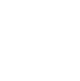 icon 18