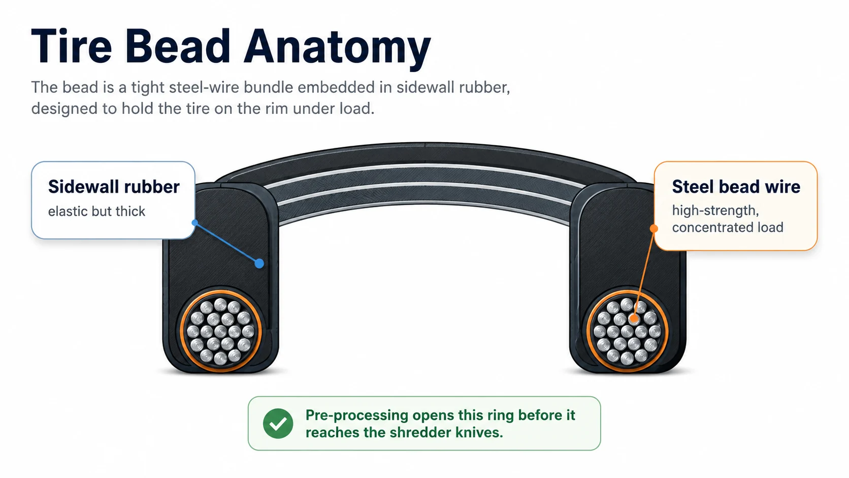 Tire bead anatomy showing steel bead wire bundle embedded in rubber sidewall before shredding